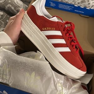 Red bold Gazelles